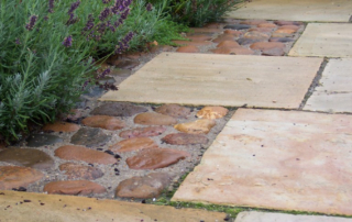 Indian paving mint